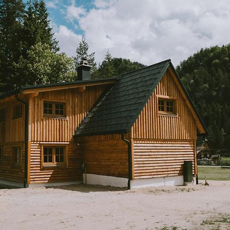 Naturparkresort S'Keuscherl Wildalpen Esterno foto